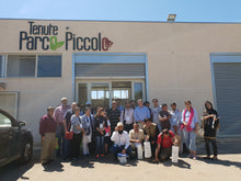 Carica l'immagine nel visualizzatore di Gallery, Tour dell'Olio Tra gli Olivi e il Frantoio con degustazione