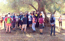 Carica l'immagine nel visualizzatore di Gallery, Dal Castello al Frantoio, Pasquetta a Carovigno